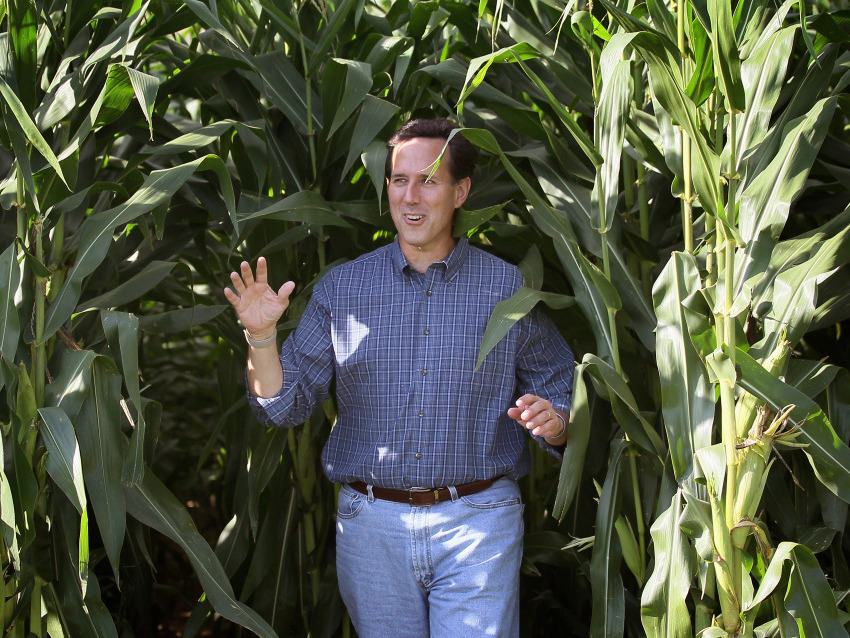 GOP presidential candidate Rick Santorum emerges from a cornfield during an August campaign stop in Dyersville, Iowa, at the farm where the movie Field of Dreams was filmed.